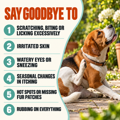 Allergy & Itch Support Chews for Dogs