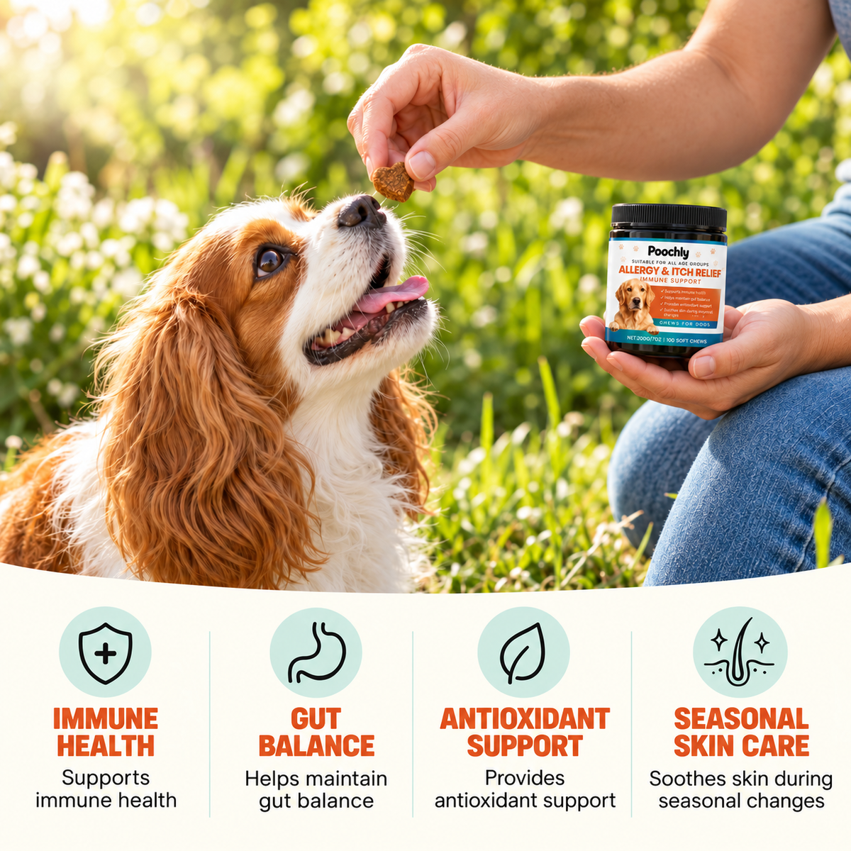 Allergy & Itch Support Chews for Dogs