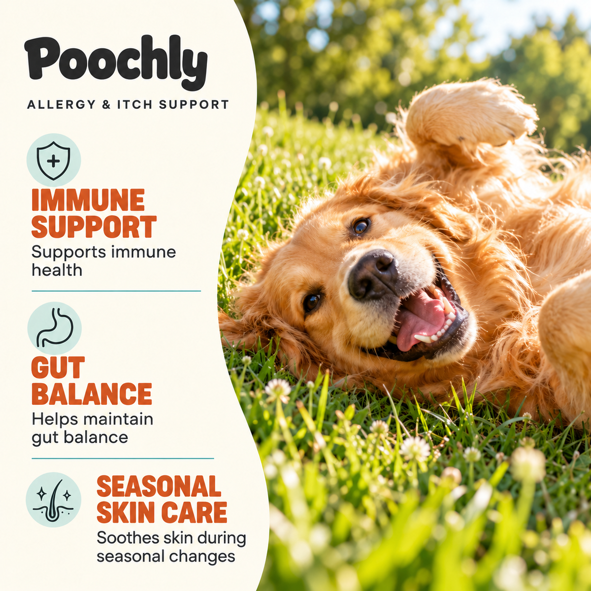 Allergy & Itch Support Chews for Dogs