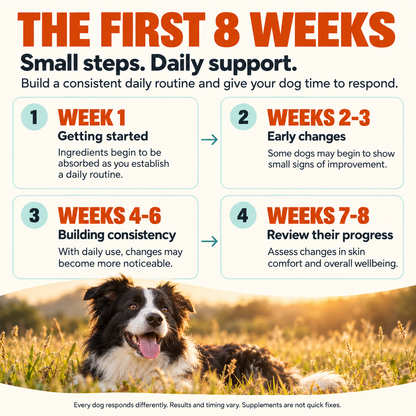 Allergy & Itch Support Chews for Dogs