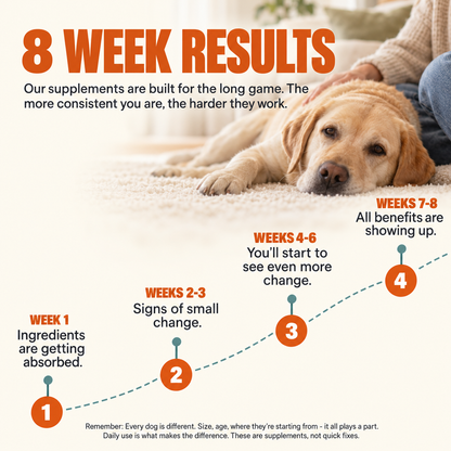 Daily Probiotic Chews