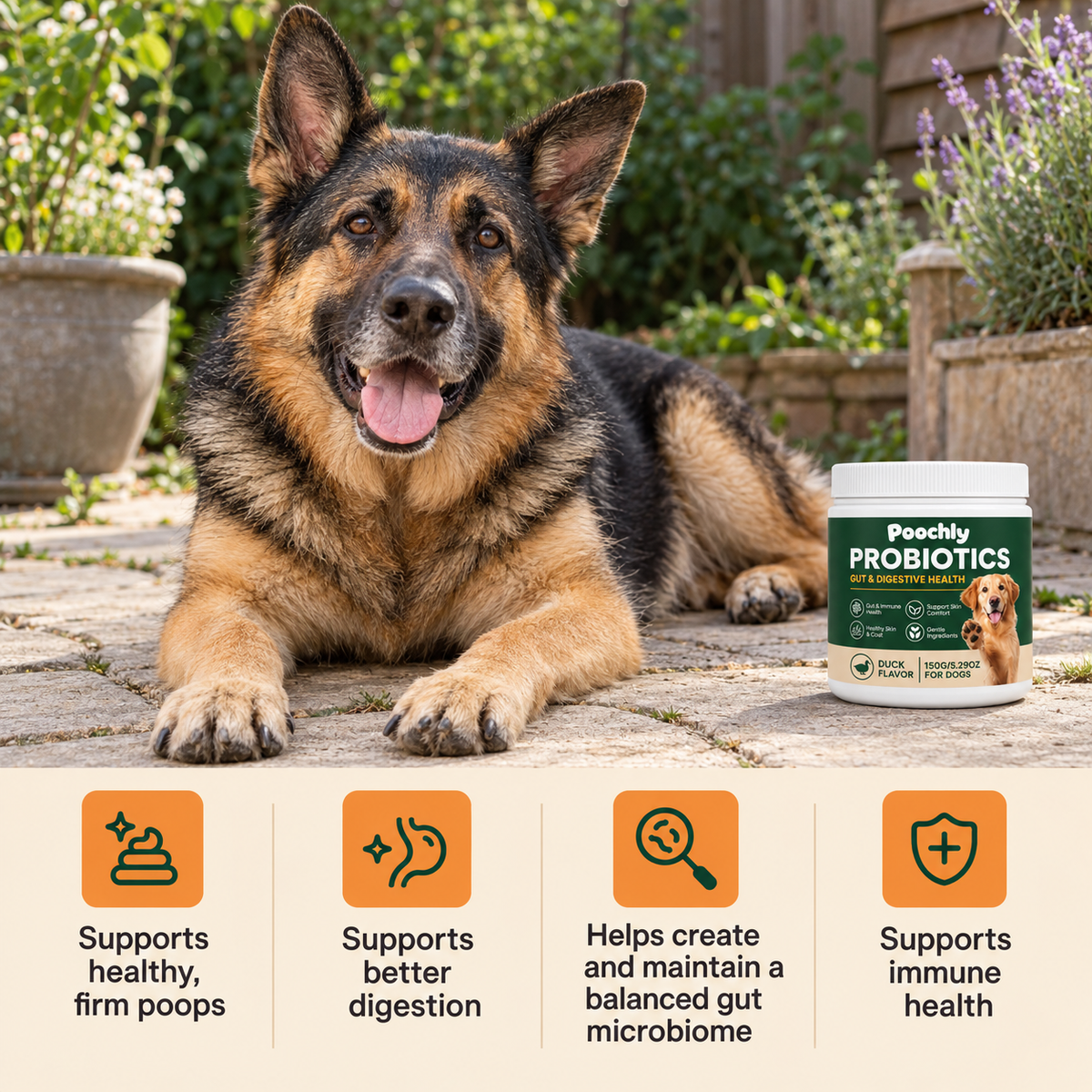 Daily Probiotic Chews