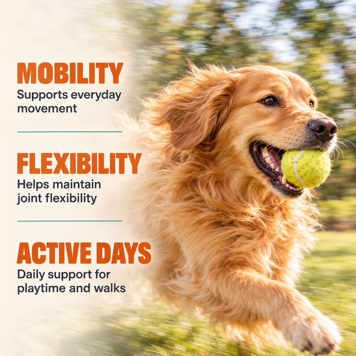 Hip & Joint Chews