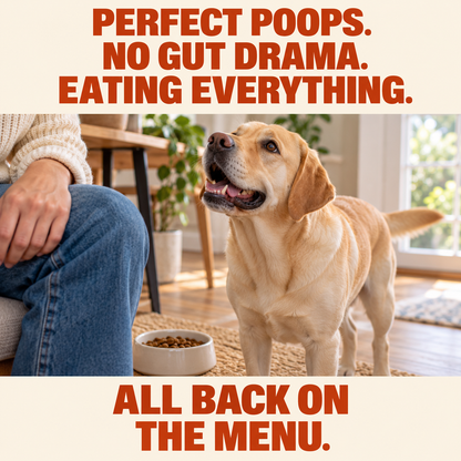 Daily Probiotic Chews