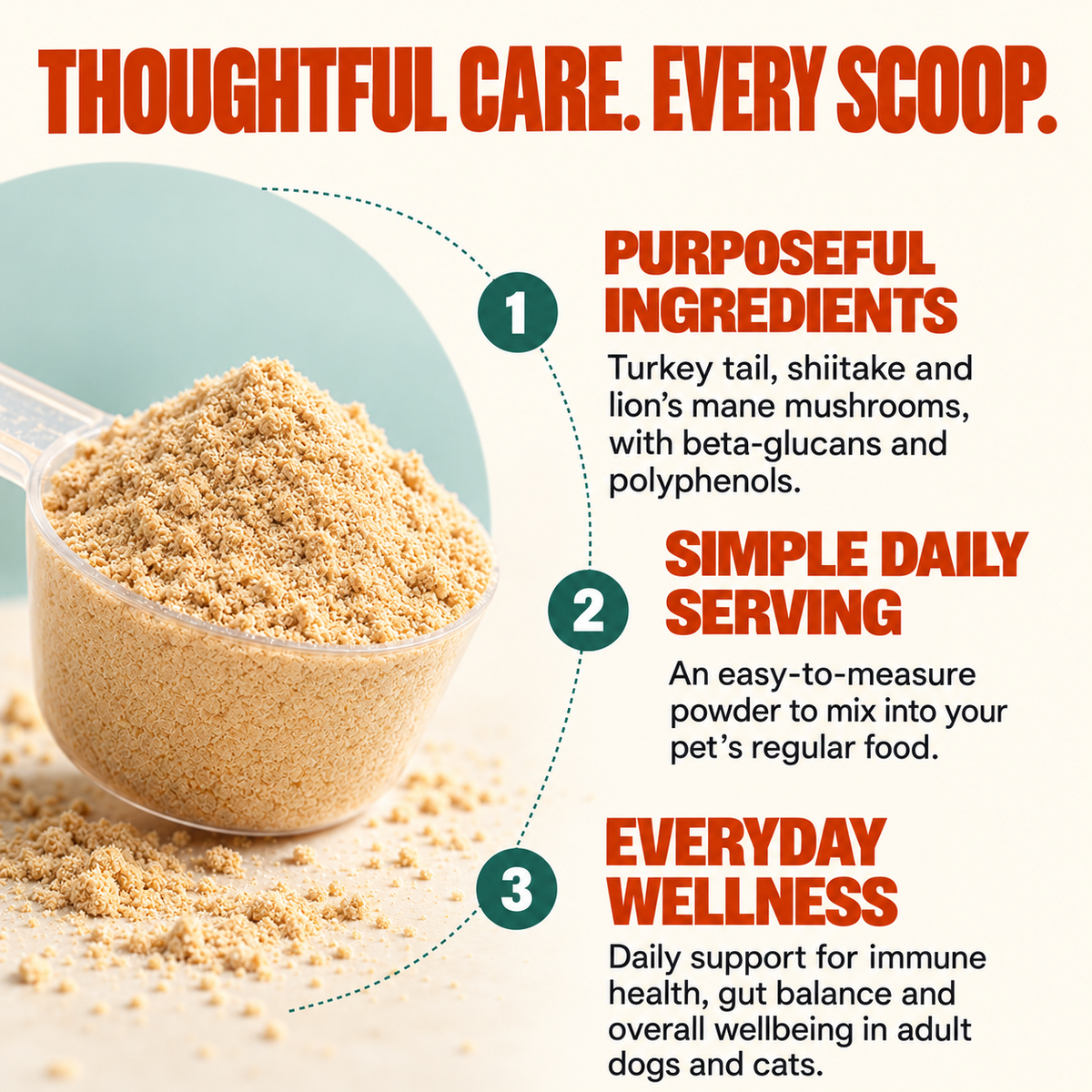 Mushroom Wellness Powder