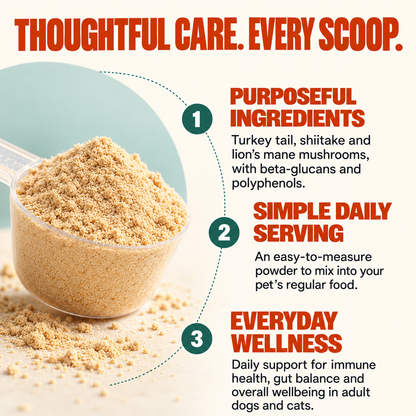 Mushroom Wellness Powder