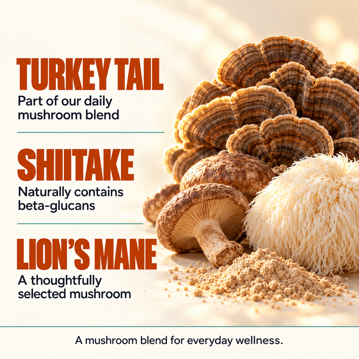 Mushroom Wellness Powder