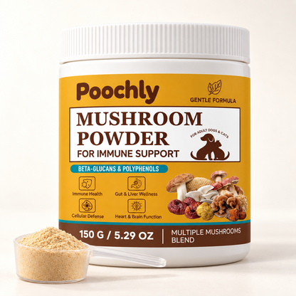 Mushroom Wellness Powder