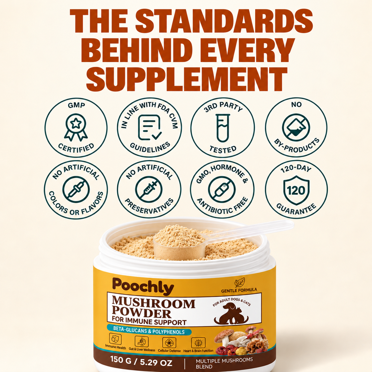 Mushroom Wellness Powder