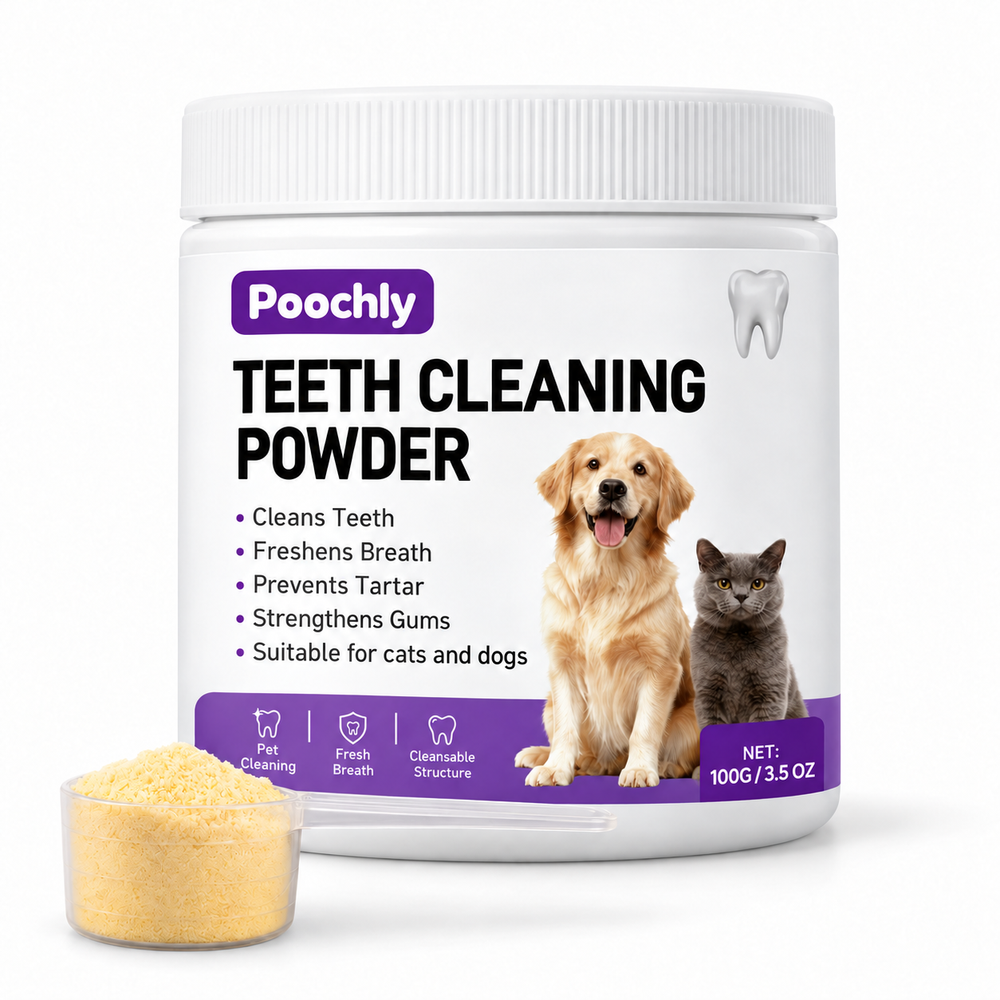 Dental Care Powder