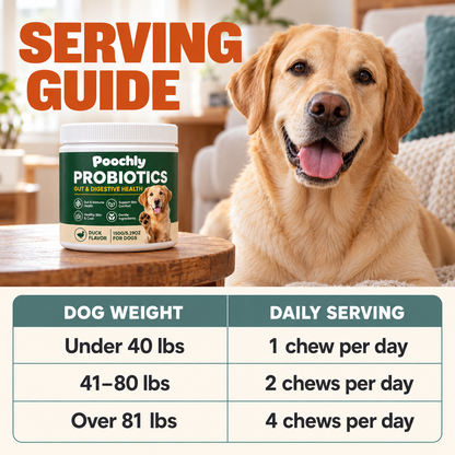 Daily Probiotic Chews