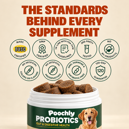Daily Probiotic Chews