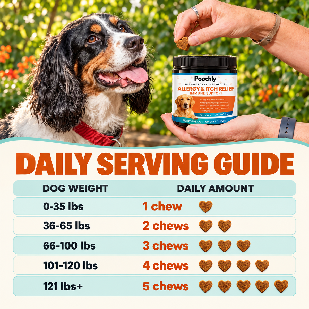 Allergy & Itch Support Chews for Dogs