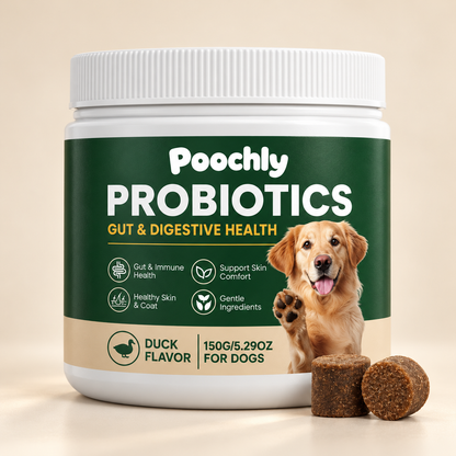 Daily Probiotic Chews