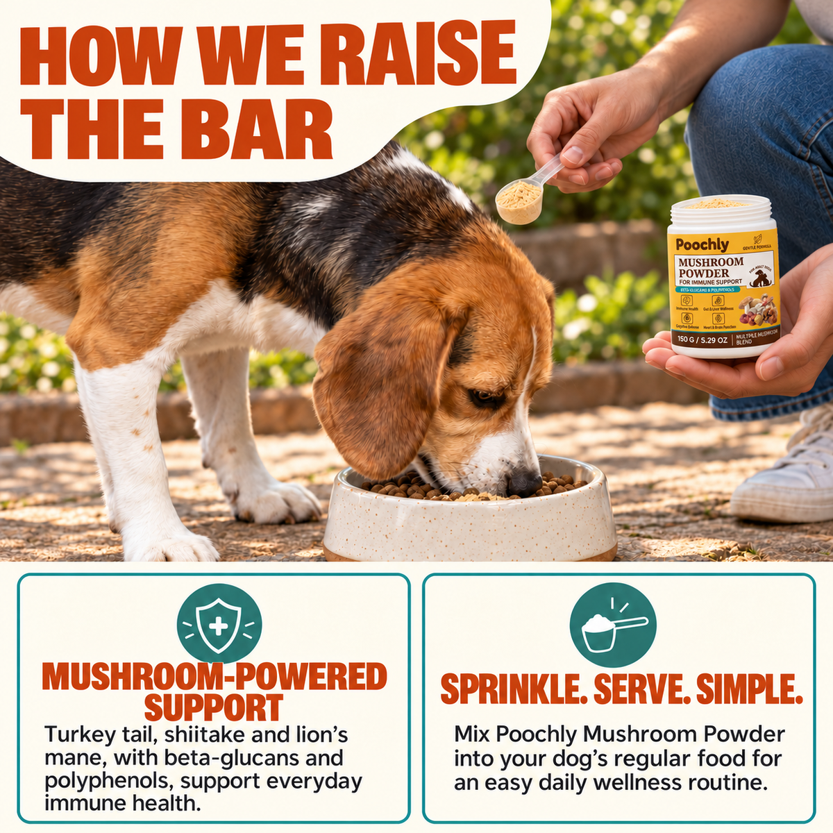 Mushroom Wellness Powder