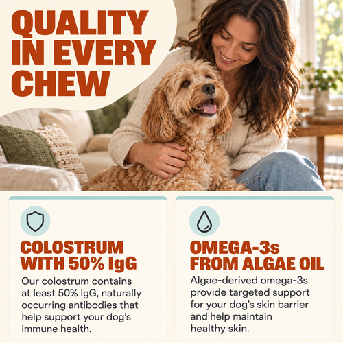 Allergy & Itch Support Chews for Dogs