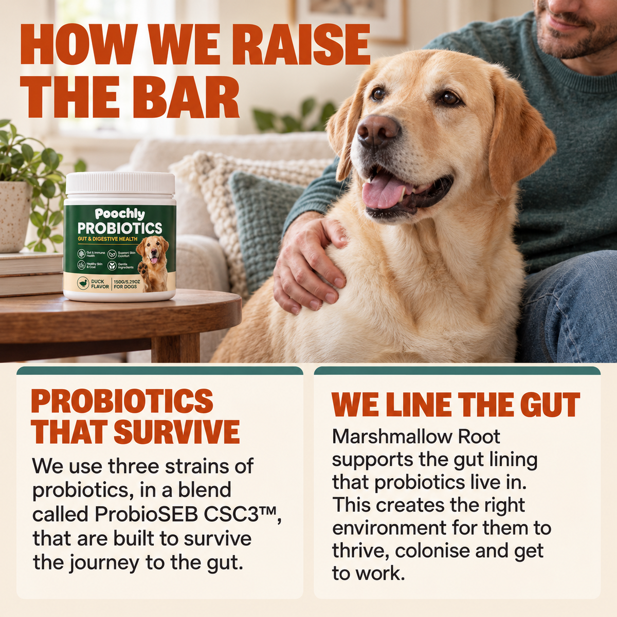 Daily Probiotic Chews