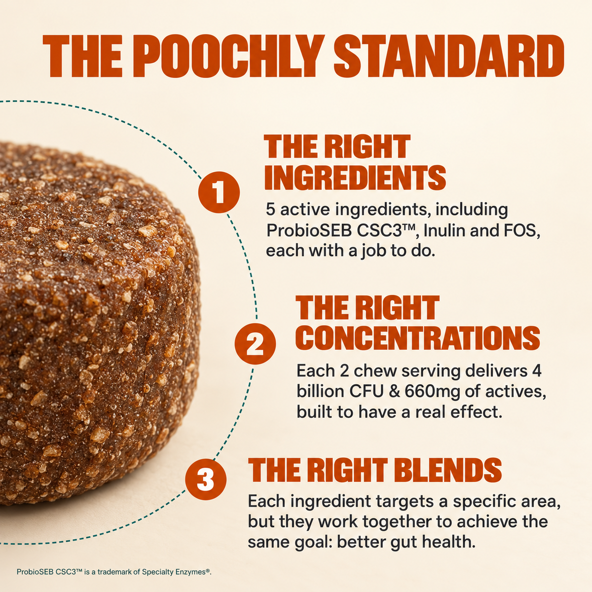 Daily Probiotic Chews