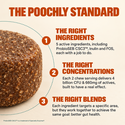 Daily Probiotic Chews