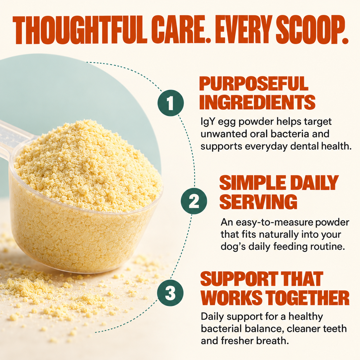 Dental Care Powder