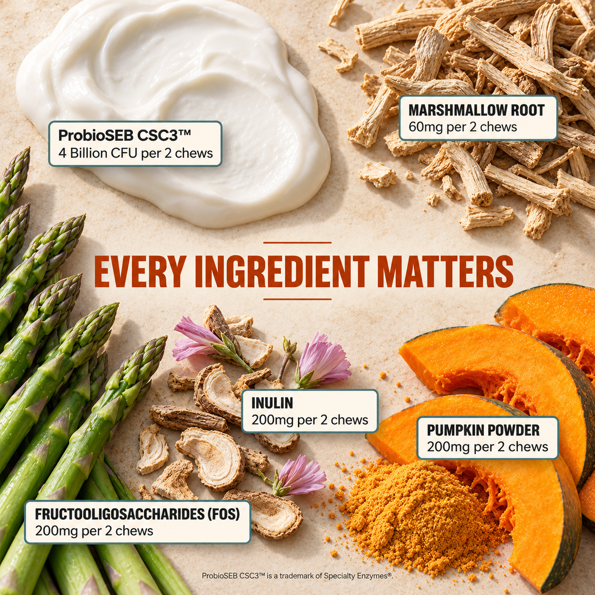 Daily Probiotic Chews